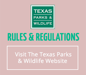 texas parks and wildlife rules and regulations